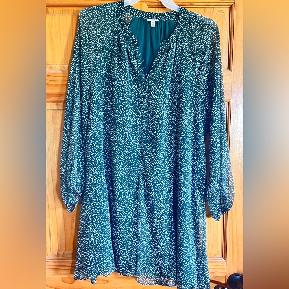 Joie Dark Green and White Blouse